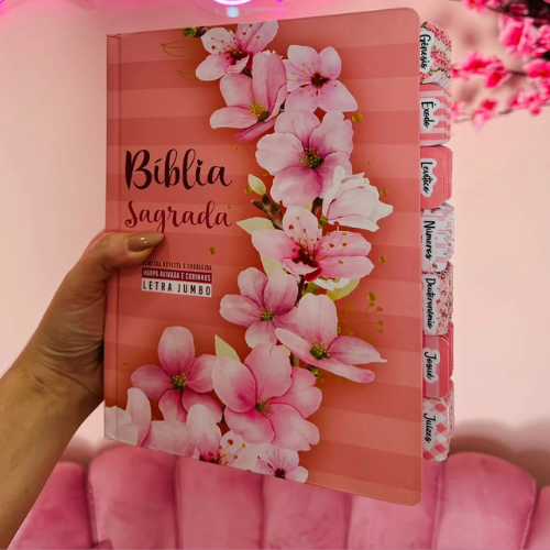 Biblia Sagrada Ramos