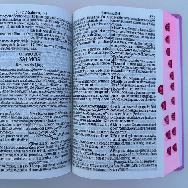 Kit Casal Cristão Fortes e Corajosos Azul e rosa